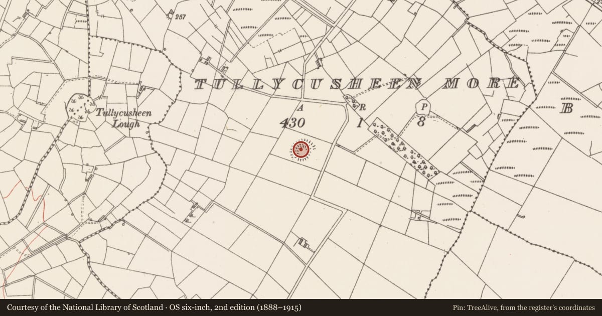 Ordnance Survey six-inch map, 2nd edition (1888–1915) covering the location of Ringfort - rath, Tullycusheen More, County Sligo, with a pin at the register's coordinates