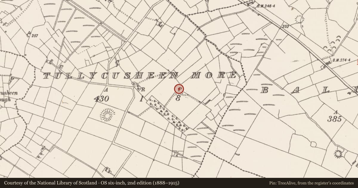 Ordnance Survey six-inch map, 2nd edition (1888–1915) covering the location of Ringfort - rath, Tullycusheen More, County Sligo, with a pin at the register's coordinates
