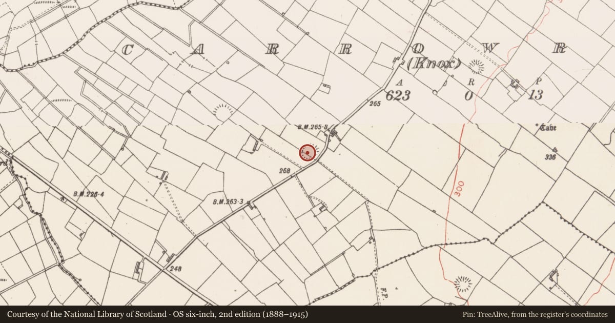 Ordnance Survey six-inch map, 2nd edition (1888–1915) covering the location of Ringfort - rath, Carrowreagh (Knox), County Sligo, with a pin at the register's coordinates
