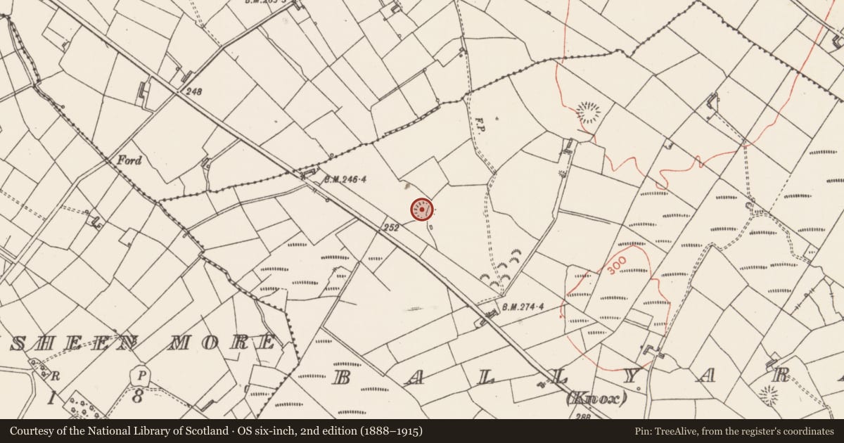 Ordnance Survey six-inch map, 2nd edition (1888–1915) covering the location of Ringfort - rath, Ballyara (Knox), County Sligo, with a pin at the register's coordinates