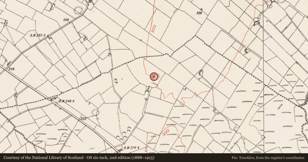 Ordnance Survey six-inch map, 2nd edition (1888–1915) covering the location of Ringfort - rath, Ballyara (Knox), County Sligo, with a pin at the register's coordinates