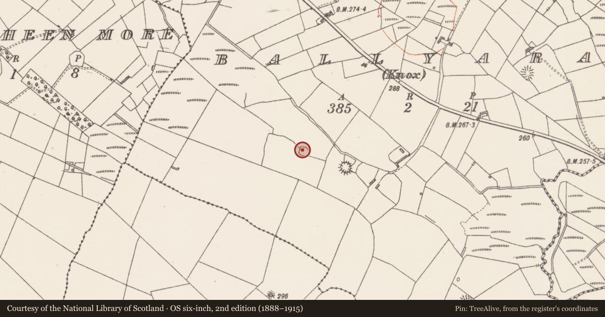 Ordnance Survey six-inch map, 2nd edition (1888–1915) covering the location of Ringfort - rath, Ballyara (Knox), County Sligo, with a pin at the register's coordinates
