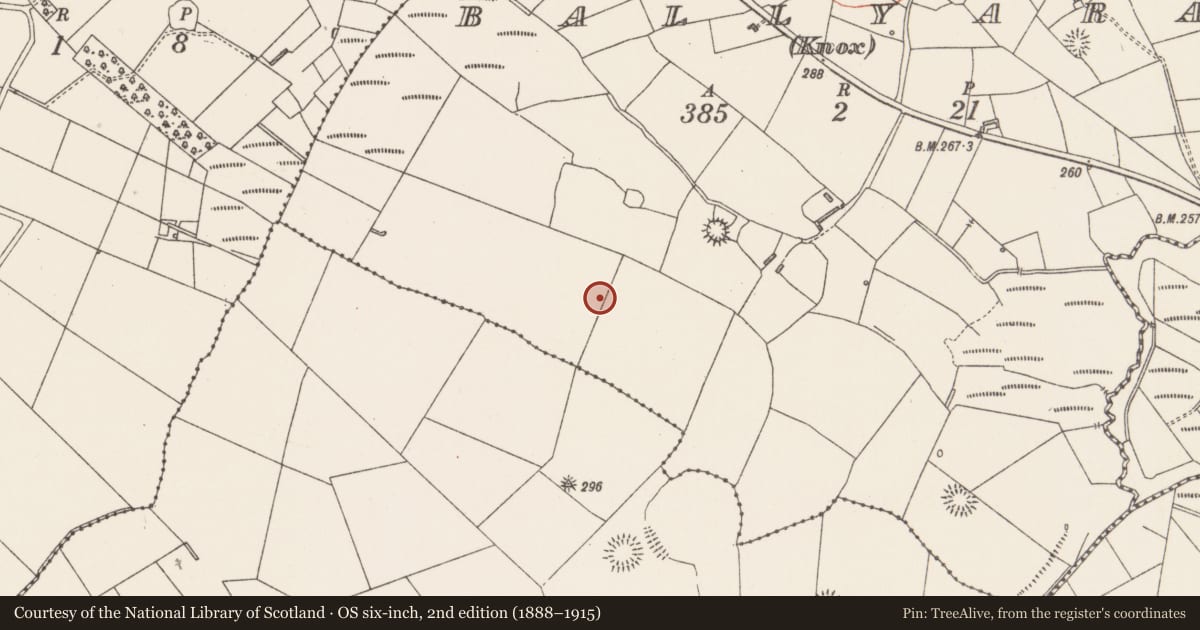 Ordnance Survey six-inch map, 2nd edition (1888–1915) covering the location of Ringfort - rath, Ballyara (Knox), County Sligo, with a pin at the register's coordinates