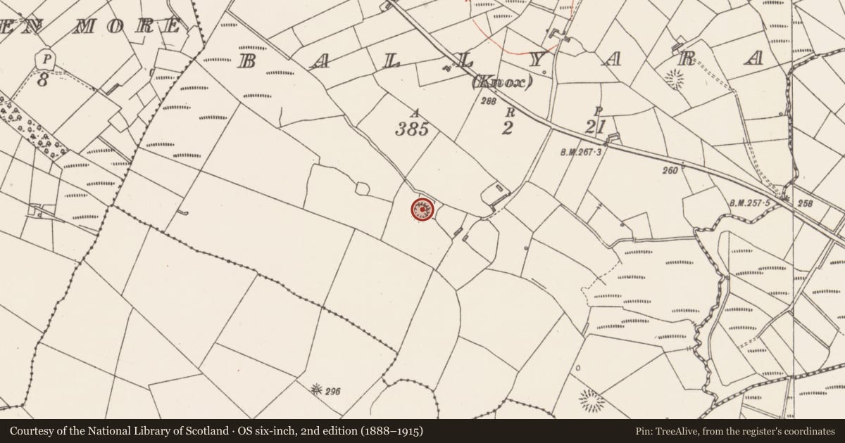 Ordnance Survey six-inch map, 2nd edition (1888–1915) covering the location of Ringfort - rath, Ballyara (Knox), County Sligo, with a pin at the register's coordinates