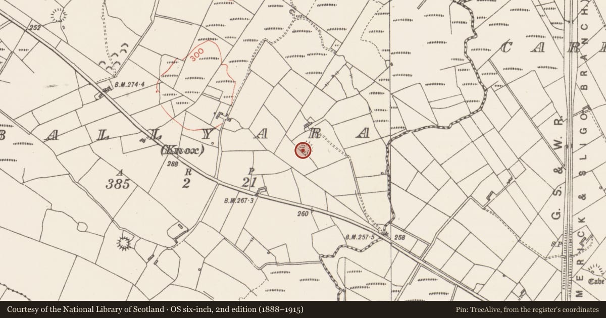 Ordnance Survey six-inch map, 2nd edition (1888–1915) covering the location of Ringfort - rath, Ballyara (Knox), County Sligo, with a pin at the register's coordinates