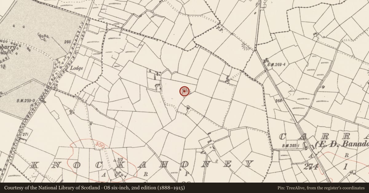 Ordnance Survey six-inch map, 2nd edition (1888–1915) covering the location of Ringfort - rath, Knockahoney, County Sligo, with a pin at the register's coordinates