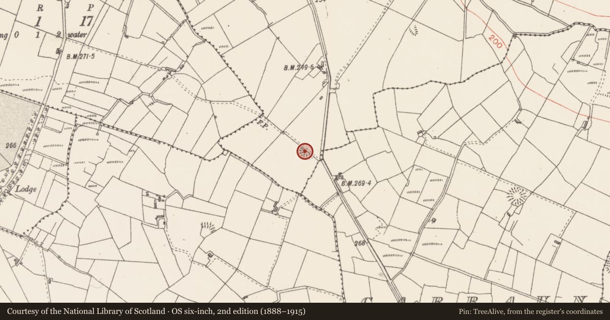 Ordnance Survey six-inch map, 2nd edition (1888–1915) covering the location of Ringfort - rath, Drummartin, County Sligo, with a pin at the register's coordinates