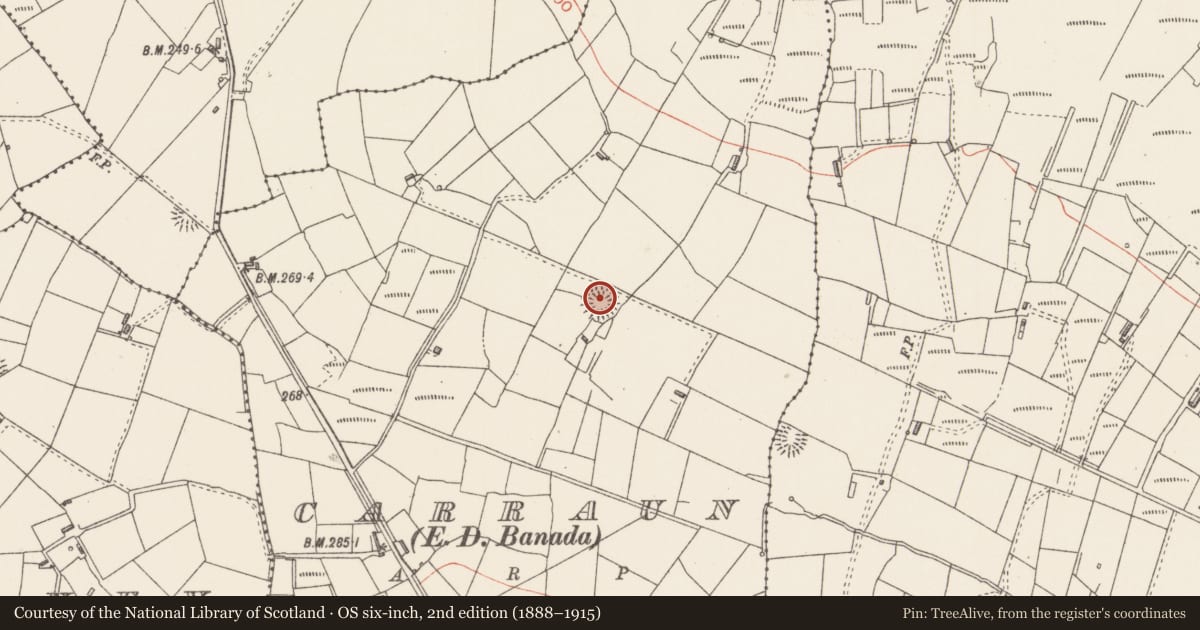 Ordnance Survey six-inch map, 2nd edition (1888–1915) covering the location of Ringfort - rath, Carraun, County Sligo, with a pin at the register's coordinates