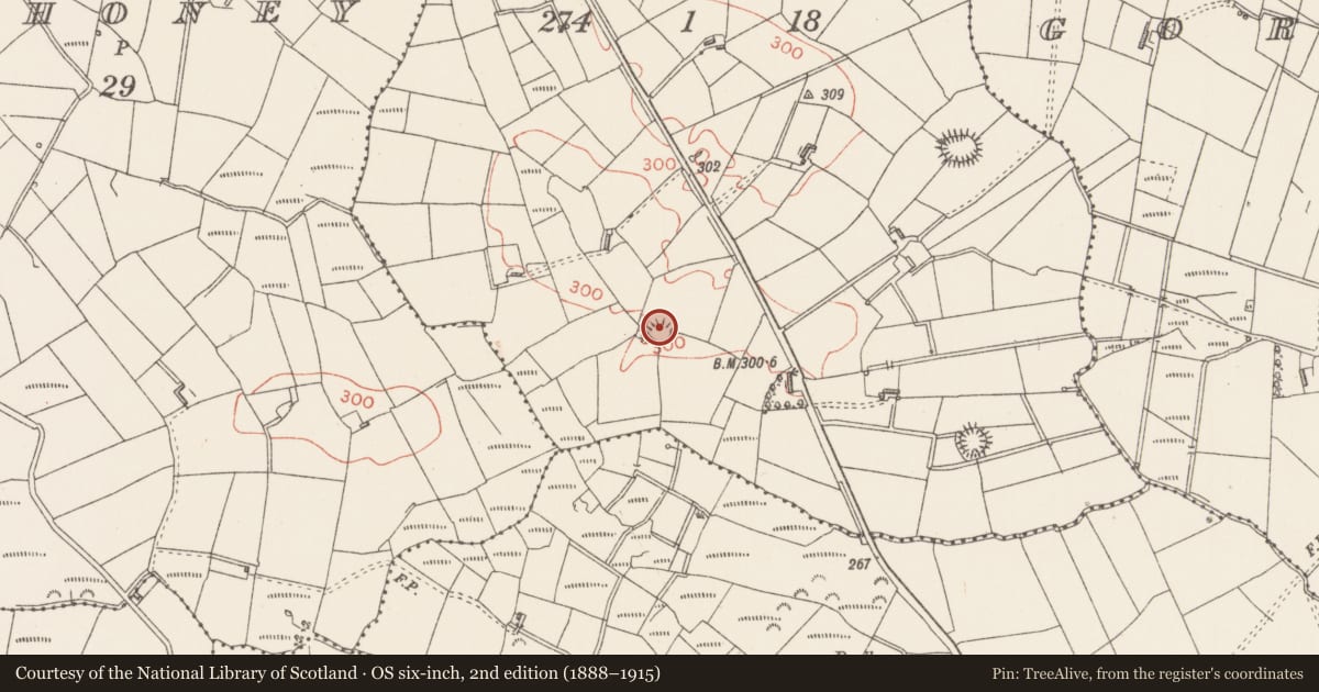 Ordnance Survey six-inch map, 2nd edition (1888–1915) covering the location of Ringfort - rath, Carraun, County Sligo, with a pin at the register's coordinates