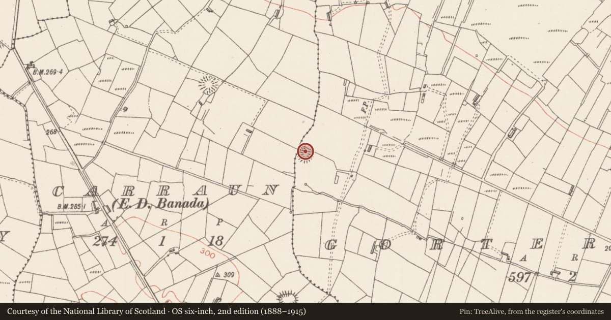Ordnance Survey six-inch map, 2nd edition (1888–1915) covering the location of Ringfort - rath, Gortermone, County Sligo, with a pin at the register's coordinates
