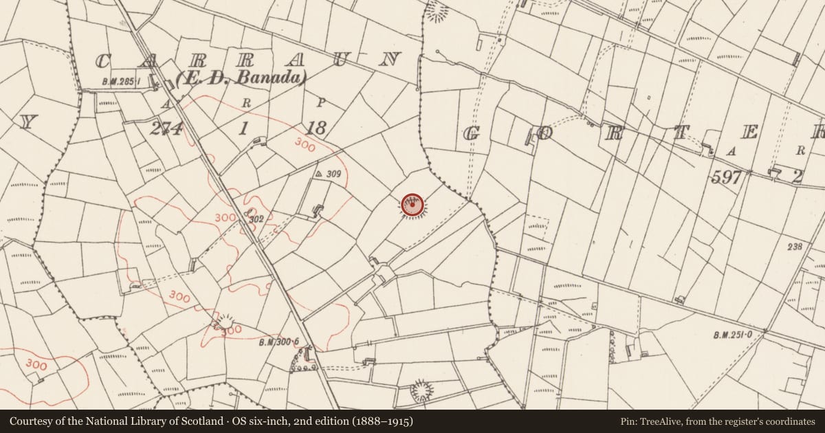 Ordnance Survey six-inch map, 2nd edition (1888–1915) covering the location of Ringfort - rath, Carraun, County Sligo, with a pin at the register's coordinates