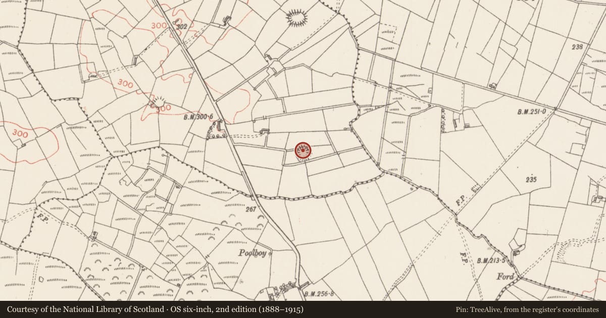 Ordnance Survey six-inch map, 2nd edition (1888–1915) covering the location of Ringfort - rath, Carraun, County Sligo, with a pin at the register's coordinates