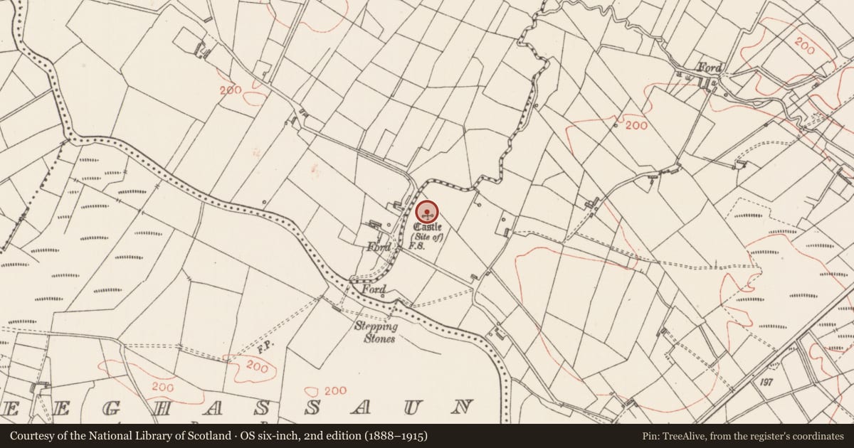 Ordnance Survey six-inch map, 2nd edition (1888–1915) covering the location of Castle - unclassified, Tullanaglug, County Sligo, with a pin at the register's coordinates