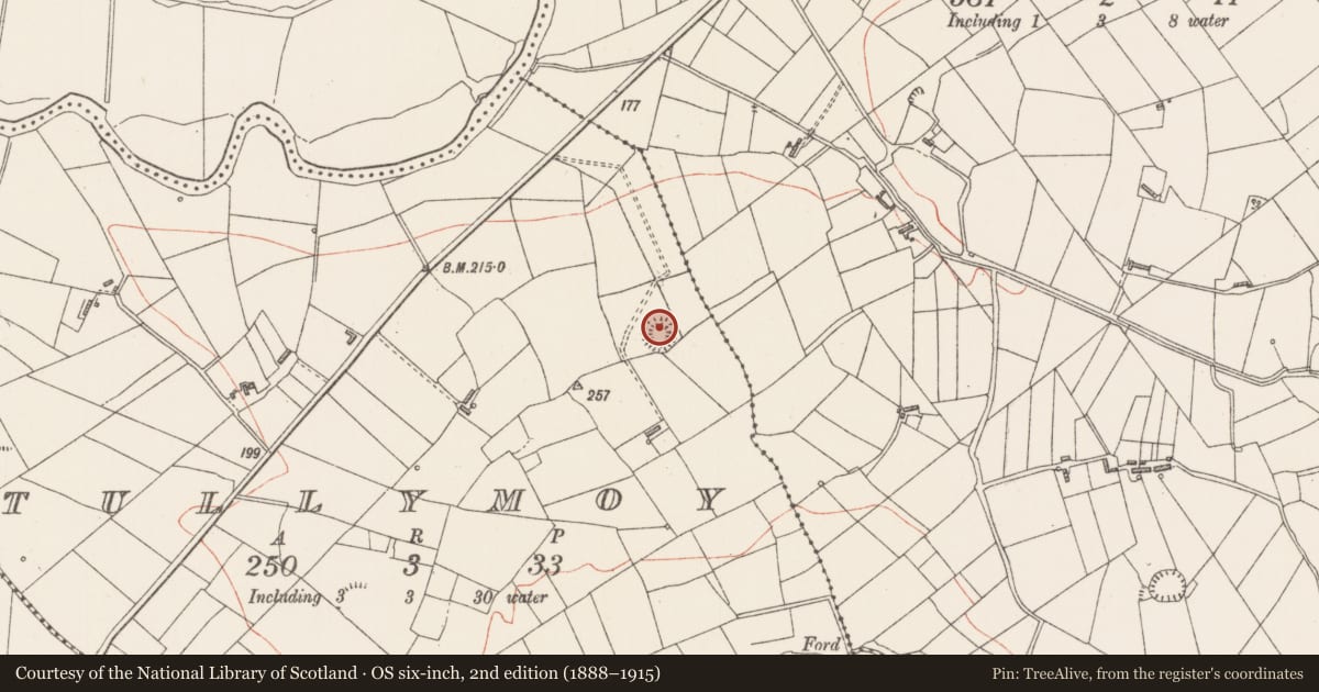 Ordnance Survey six-inch map, 2nd edition (1888–1915) covering the location of Ringfort - rath, Tullymoy, County Sligo, with a pin at the register's coordinates