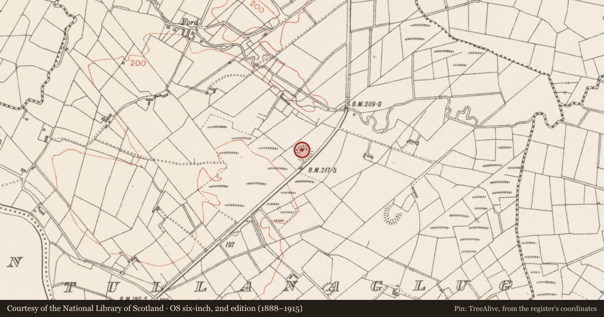 Ordnance Survey six-inch map, 2nd edition (1888–1915) covering the location of Souterrain, Tullanaglug, County Sligo, with a pin at the register's coordinates