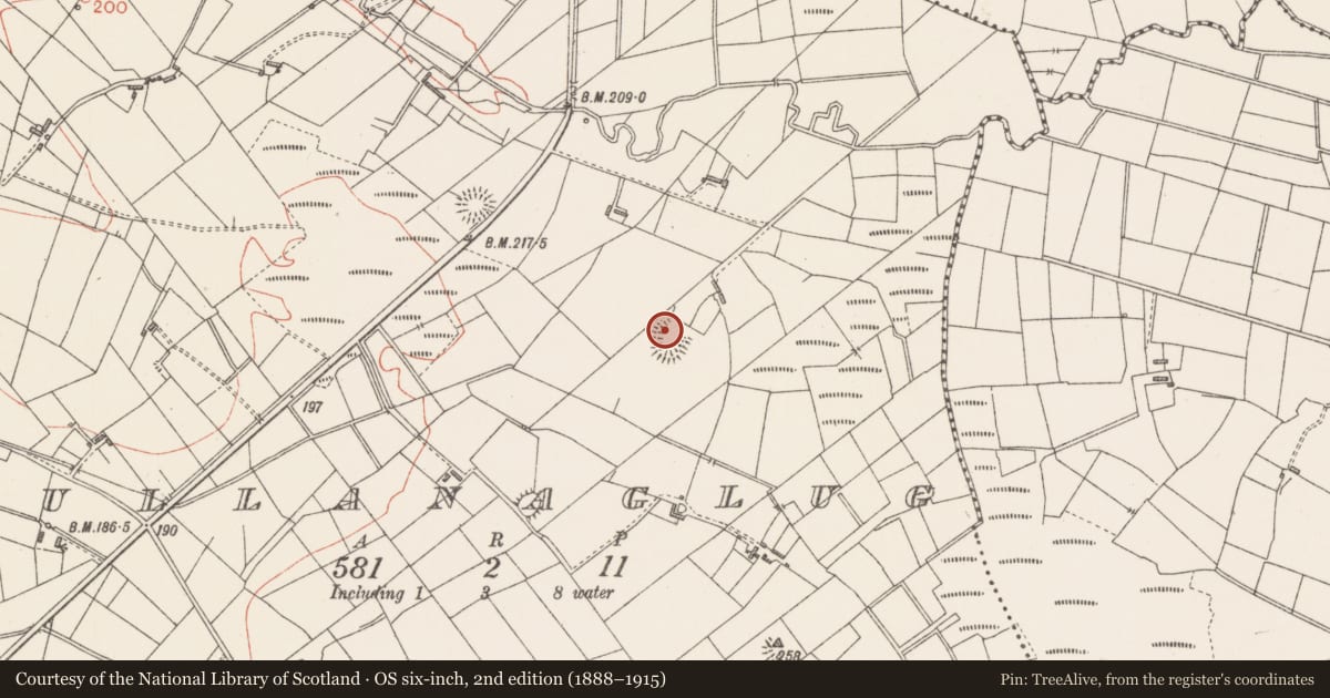 Ordnance Survey six-inch map, 2nd edition (1888–1915) covering the location of Ringfort - rath, Tullanaglug, County Sligo, with a pin at the register's coordinates