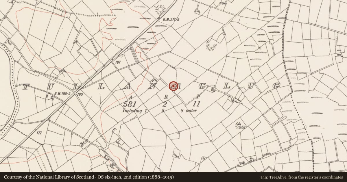 Ordnance Survey six-inch map, 2nd edition (1888–1915) covering the location of Ringfort - rath, Tullanaglug, County Sligo, with a pin at the register's coordinates
