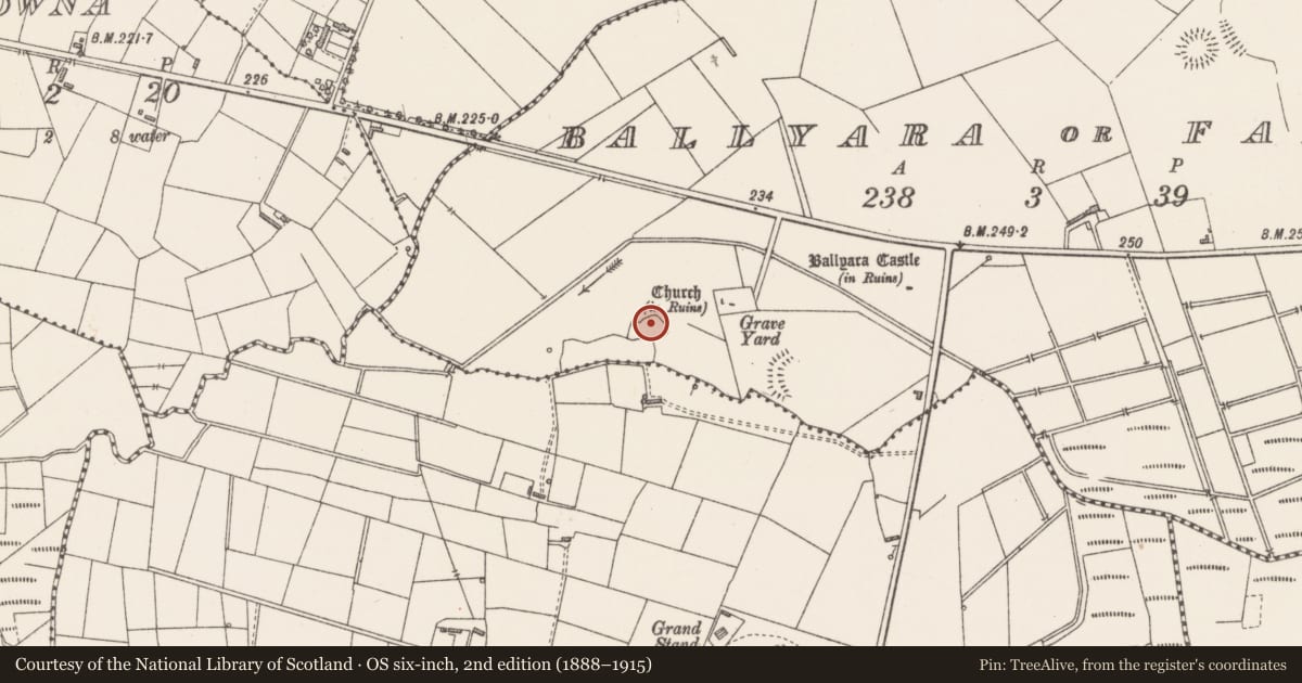Ordnance Survey six-inch map, 2nd edition (1888–1915) covering the location of Ringfort - rath, Ballyara Or Falduff, County Sligo, with a pin at the register's coordinates
