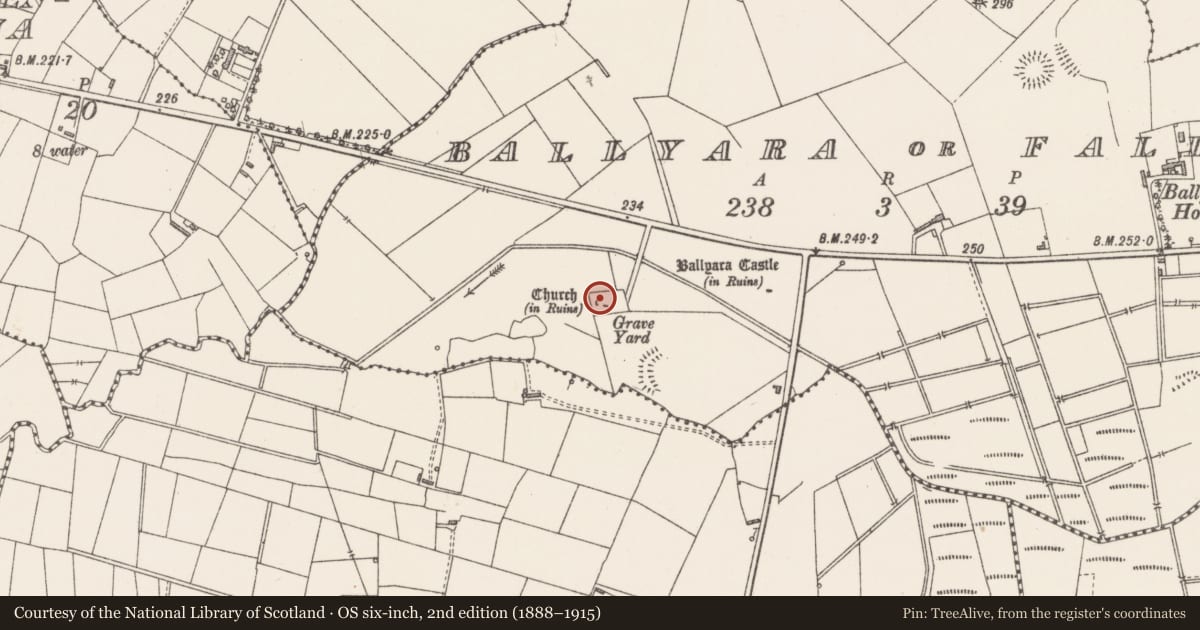 Ordnance Survey six-inch map, 2nd edition (1888–1915) covering the location of Church, Ballyara Or Falduff, County Sligo, with a pin at the register's coordinates