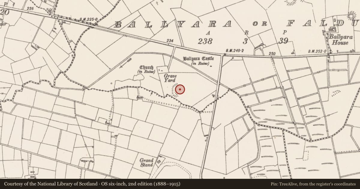 Ordnance Survey six-inch map, 2nd edition (1888–1915) covering the location of Ringfort - rath, Ballyara Or Falduff, County Sligo, with a pin at the register's coordinates