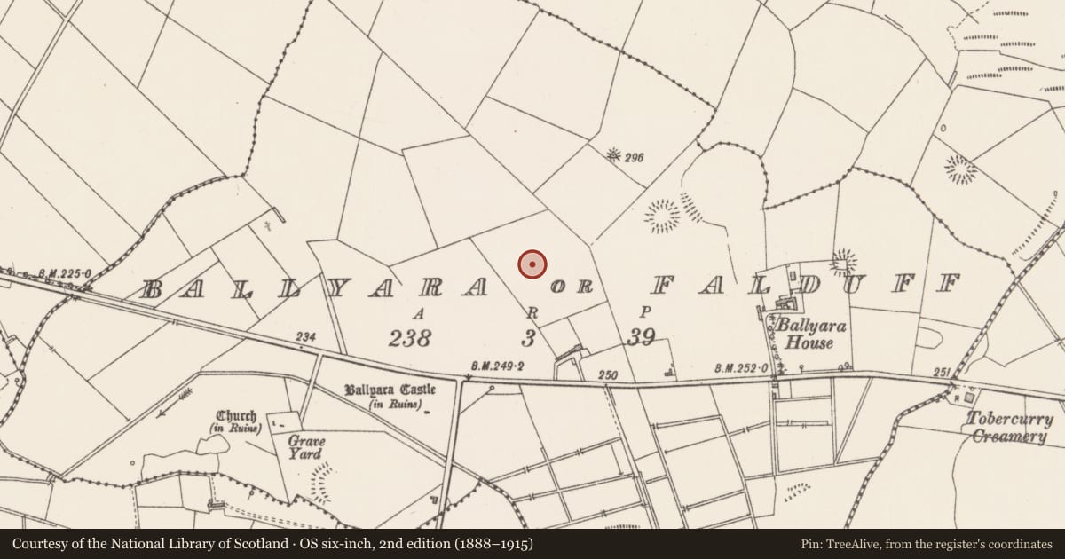 Ordnance Survey six-inch map, 2nd edition (1888–1915) covering the location of Ringfort - rath, Ballyara Or Falduff, County Sligo, with a pin at the register's coordinates