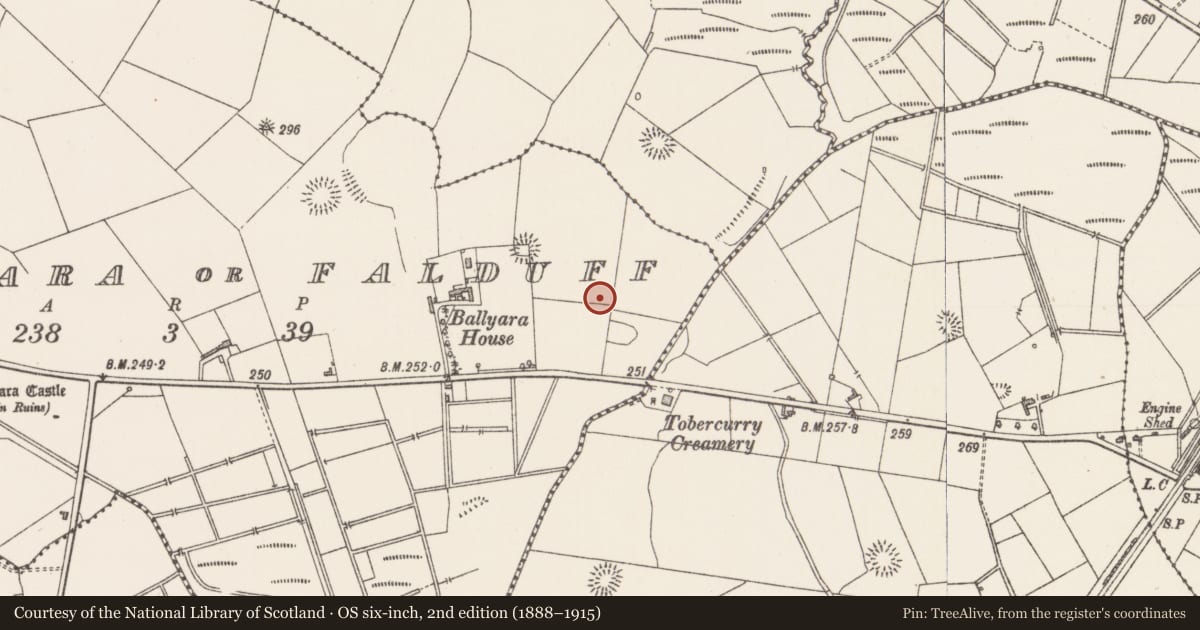 Ordnance Survey six-inch map, 2nd edition (1888–1915) covering the location of Barrow - unclassified, Ballyara Or Falduff, County Sligo, with a pin at the register's coordinates