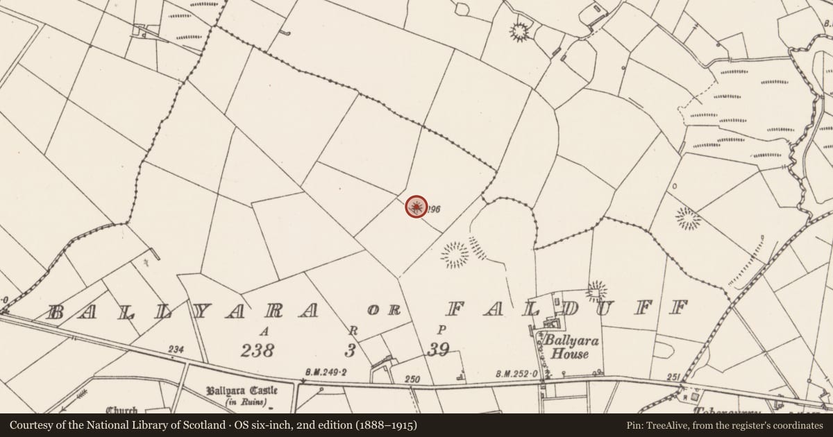 Ordnance Survey six-inch map, 2nd edition (1888–1915) covering the location of Barrow - mound barrow, Ballyara Or Falduff, County Sligo, with a pin at the register's coordinates