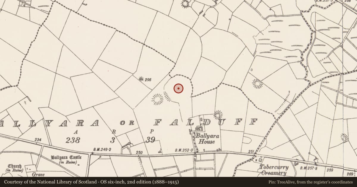 Ordnance Survey six-inch map, 2nd edition (1888–1915) covering the location of Enclosure, Ballyara Or Falduff, County Sligo, with a pin at the register's coordinates