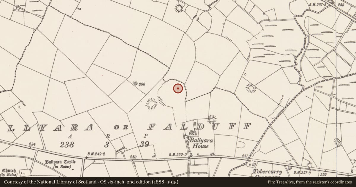 Ordnance Survey six-inch map, 2nd edition (1888–1915) covering the location of House - indeterminate date, Ballyara Or Falduff, County Sligo, with a pin at the register's coordinates