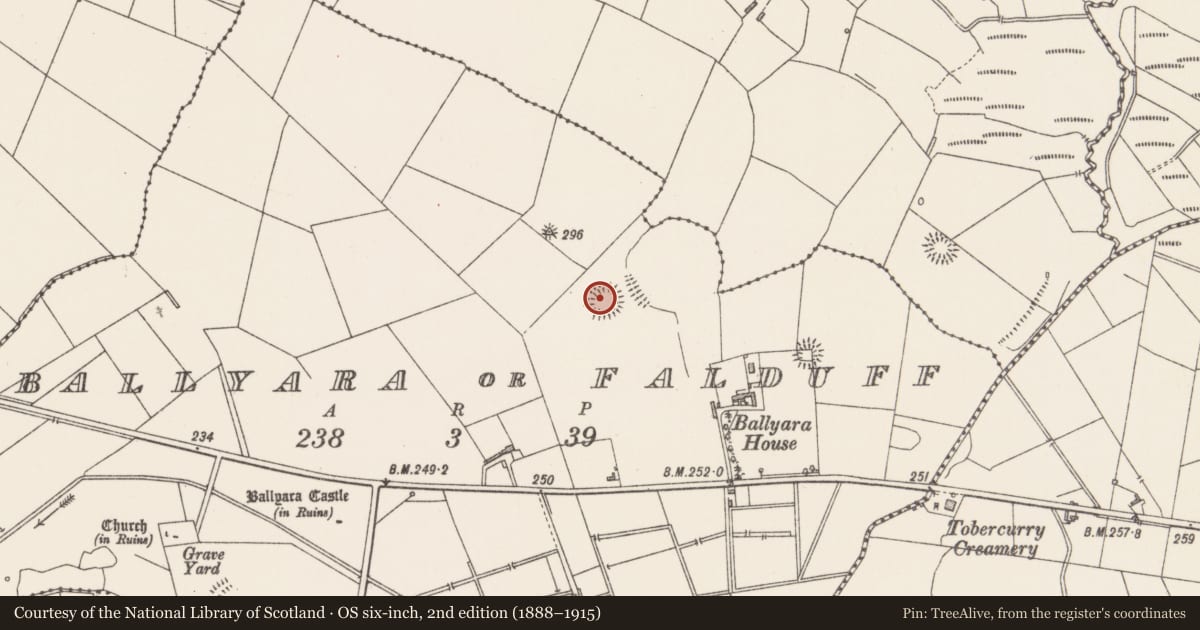 Ordnance Survey six-inch map, 2nd edition (1888–1915) covering the location of Ringfort - rath, Ballyara Or Falduff, County Sligo, with a pin at the register's coordinates