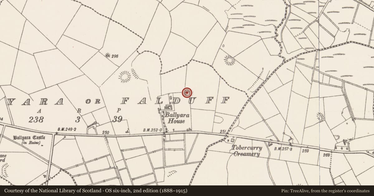 Ordnance Survey six-inch map, 2nd edition (1888–1915) covering the location of Ringfort - cashel, Ballyara Or Falduff, County Sligo, with a pin at the register's coordinates