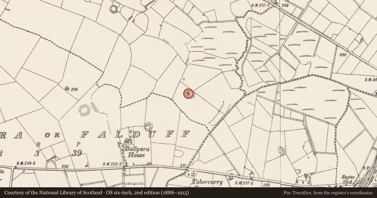 Ordnance Survey six-inch map, 2nd edition (1888–1915) covering the location of Ringfort - rath, Ballyara (Knox), County Sligo, with a pin at the register's coordinates