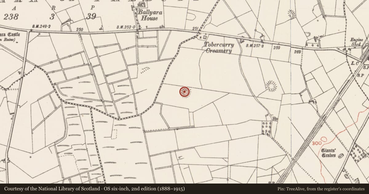 Ordnance Survey six-inch map, 2nd edition (1888–1915) covering the location of Moated site, Rathscanlan, County Sligo, with a pin at the register's coordinates