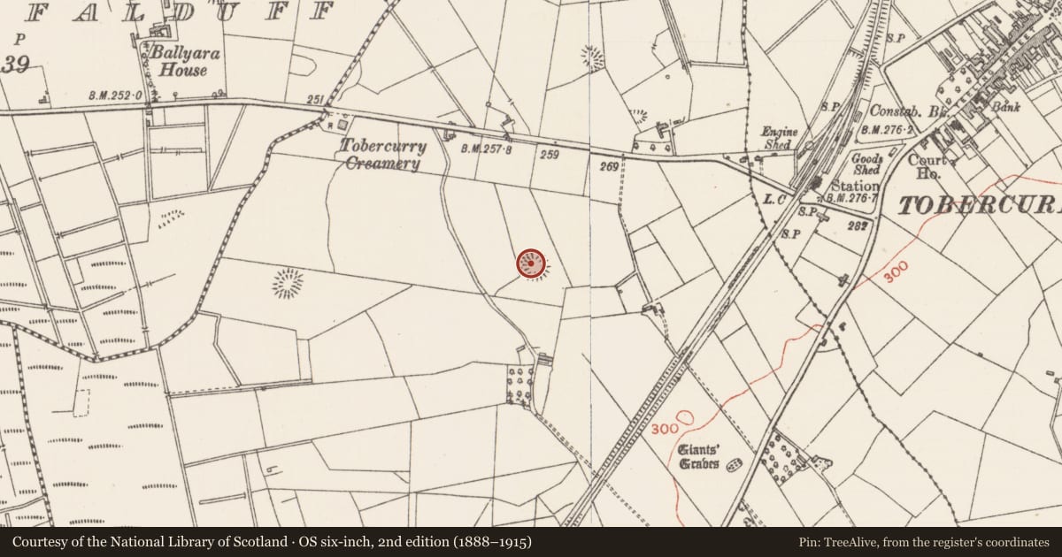 Ordnance Survey six-inch map, 2nd edition (1888–1915) covering the location of Ringfort - rath, Rathscanlan, County Sligo, with a pin at the register's coordinates