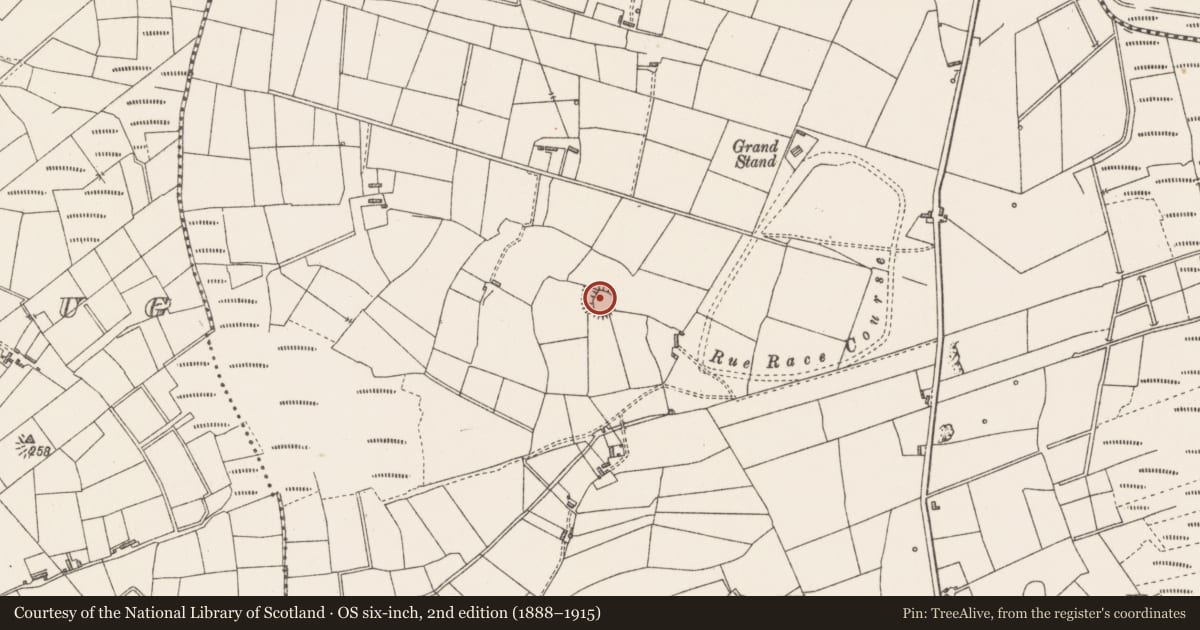 Ordnance Survey six-inch map, 2nd edition (1888–1915) covering the location of Ringfort - rath, Rue, County Sligo, with a pin at the register's coordinates
