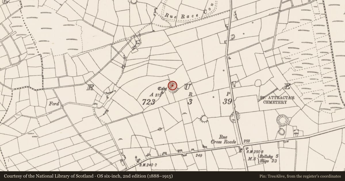 Ordnance Survey six-inch map, 2nd edition (1888–1915) covering the location of Ringfort - rath, Rue, County Sligo, with a pin at the register's coordinates