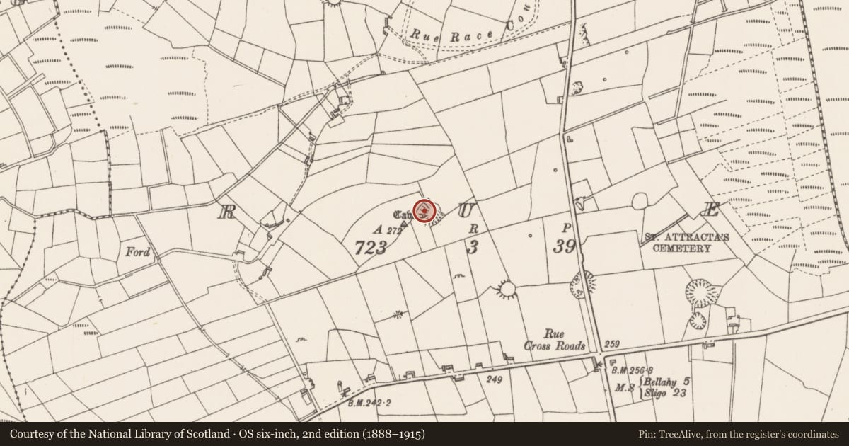 Ordnance Survey six-inch map, 2nd edition (1888–1915) covering the location of Souterrain, Rue, County Sligo, with a pin at the register's coordinates
