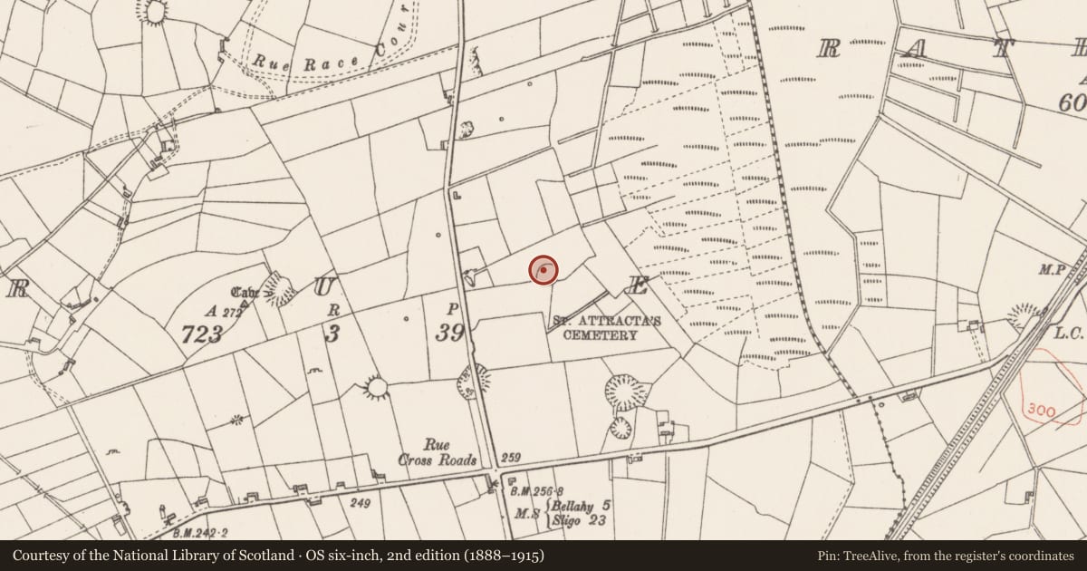 Ordnance Survey six-inch map, 2nd edition (1888–1915) covering the location of Ringfort - rath, Rue, County Sligo, with a pin at the register's coordinates