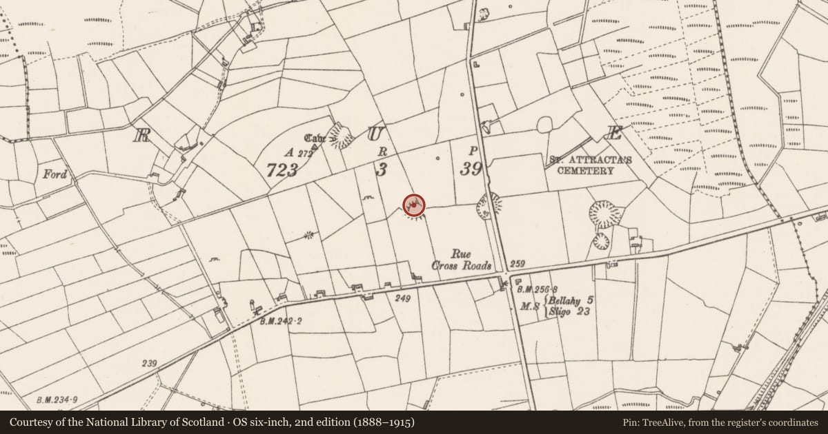 Ordnance Survey six-inch map, 2nd edition (1888–1915) covering the location of Ringfort - rath, Rue, County Sligo, with a pin at the register's coordinates