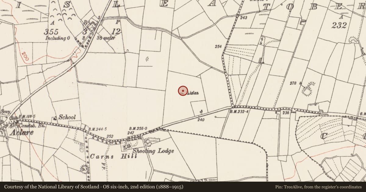 Ordnance Survey six-inch map, 2nd edition (1888–1915) covering the location of Ringfort - rath, Lislea, County Sligo, with a pin at the register's coordinates