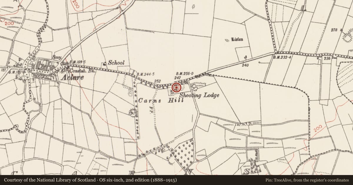 Ordnance Survey six-inch map, 2nd edition (1888–1915) covering the location of Ringfort - rath, Carns, County Sligo, with a pin at the register's coordinates