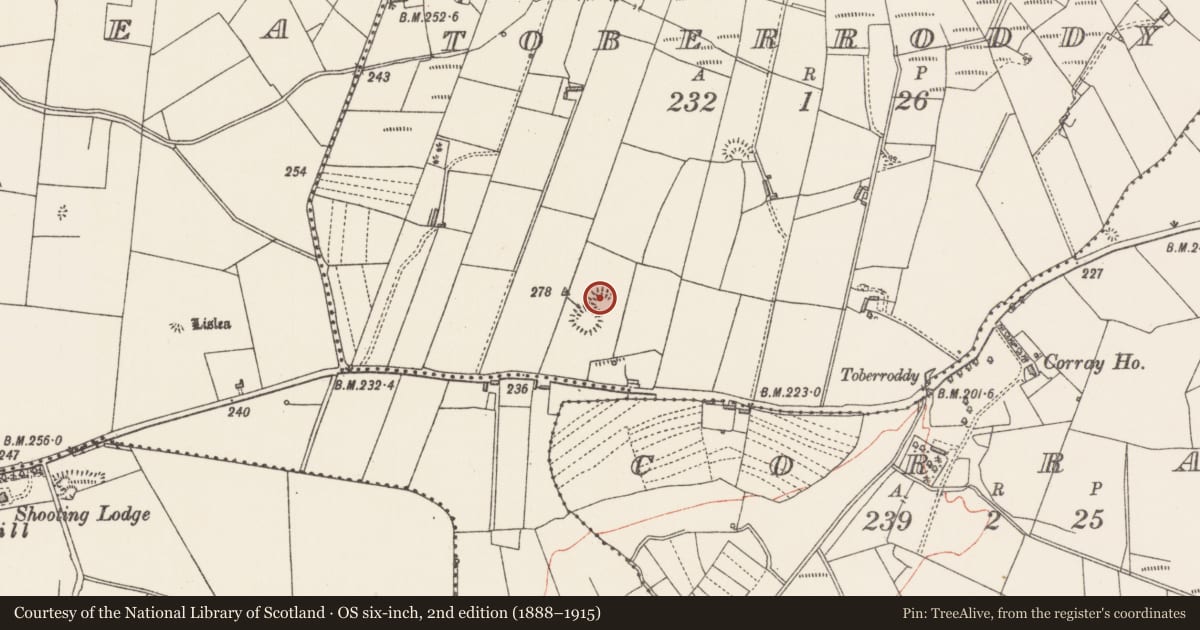 Ordnance Survey six-inch map, 2nd edition (1888–1915) covering the location of Ringfort - rath, Toberroddy, County Sligo, with a pin at the register's coordinates