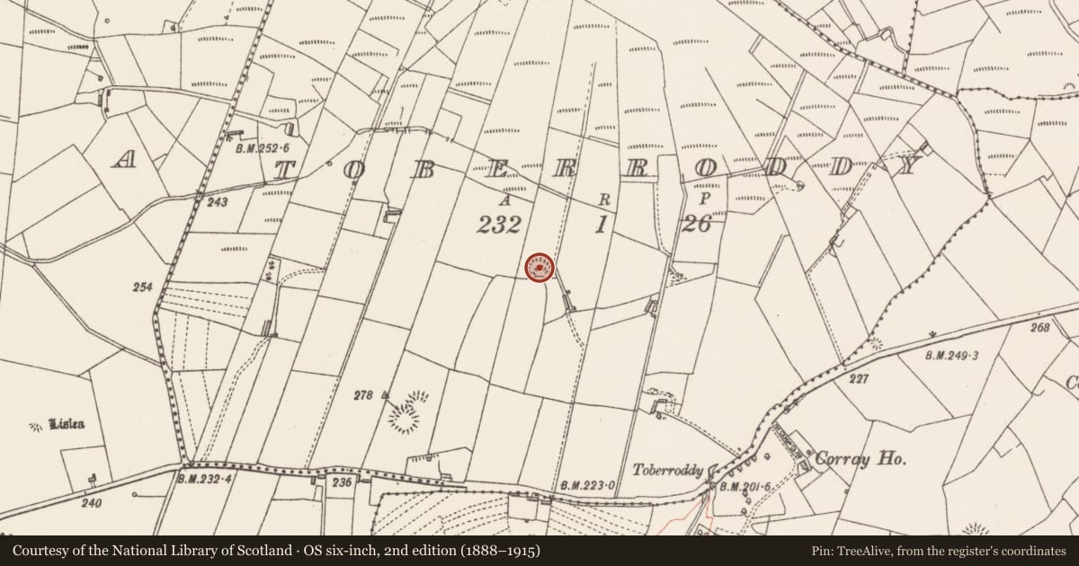 Ordnance Survey six-inch map, 2nd edition (1888–1915) covering the location of Earthwork, Toberroddy, County Sligo, with a pin at the register's coordinates