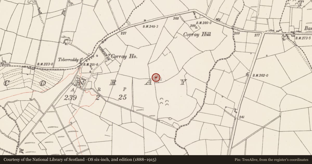 Ordnance Survey six-inch map, 2nd edition (1888–1915) covering the location of Ringfort - rath, Corray, County Sligo, with a pin at the register's coordinates