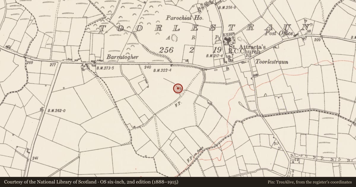 Ordnance Survey six-inch map, 2nd edition (1888–1915) covering the location of Ringfort - rath, Toorlestraun, County Sligo, with a pin at the register's coordinates