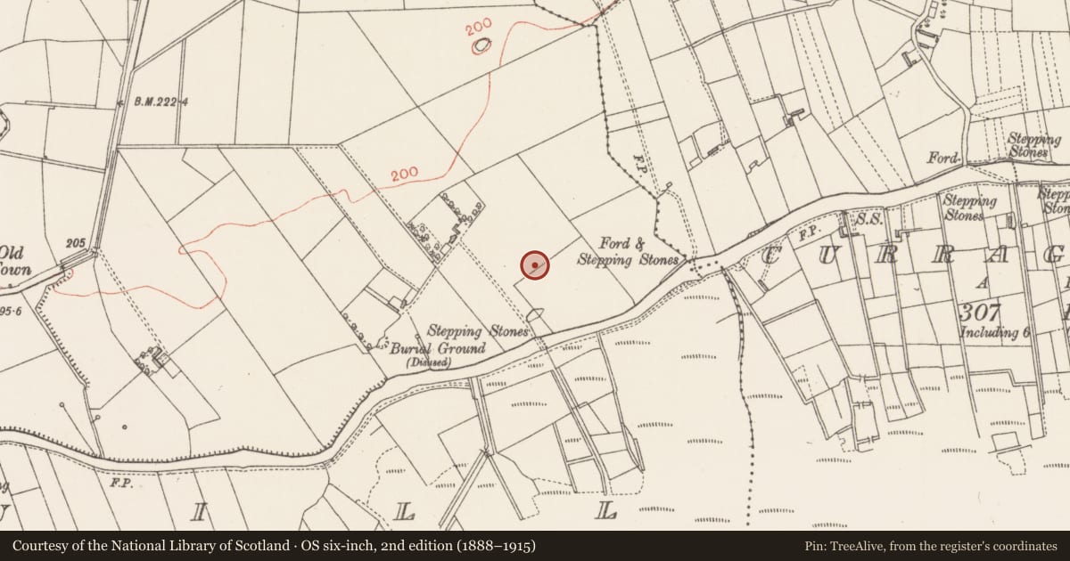 Ordnance Survey six-inch map, 2nd edition (1888–1915) covering the location of Ringfort - rath, Coolrecuill, County Sligo, with a pin at the register's coordinates