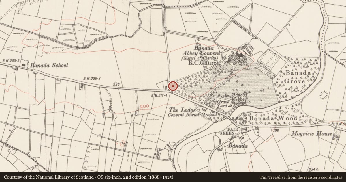 Ordnance Survey six-inch map, 2nd edition (1888–1915) covering the location of Ringfort - rath, Banada, County Sligo, with a pin at the register's coordinates