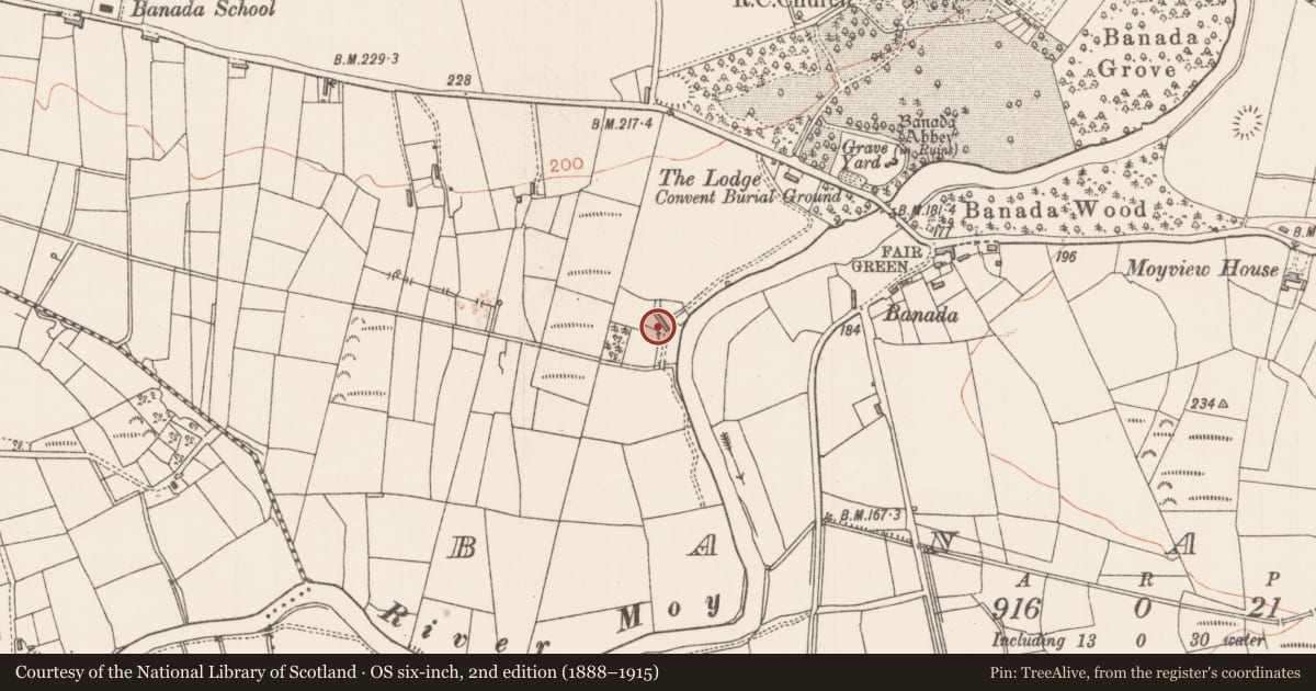 Ordnance Survey six-inch map, 2nd edition (1888–1915) covering the location of Architectural fragment, Banada, County Sligo, with a pin at the register's coordinates