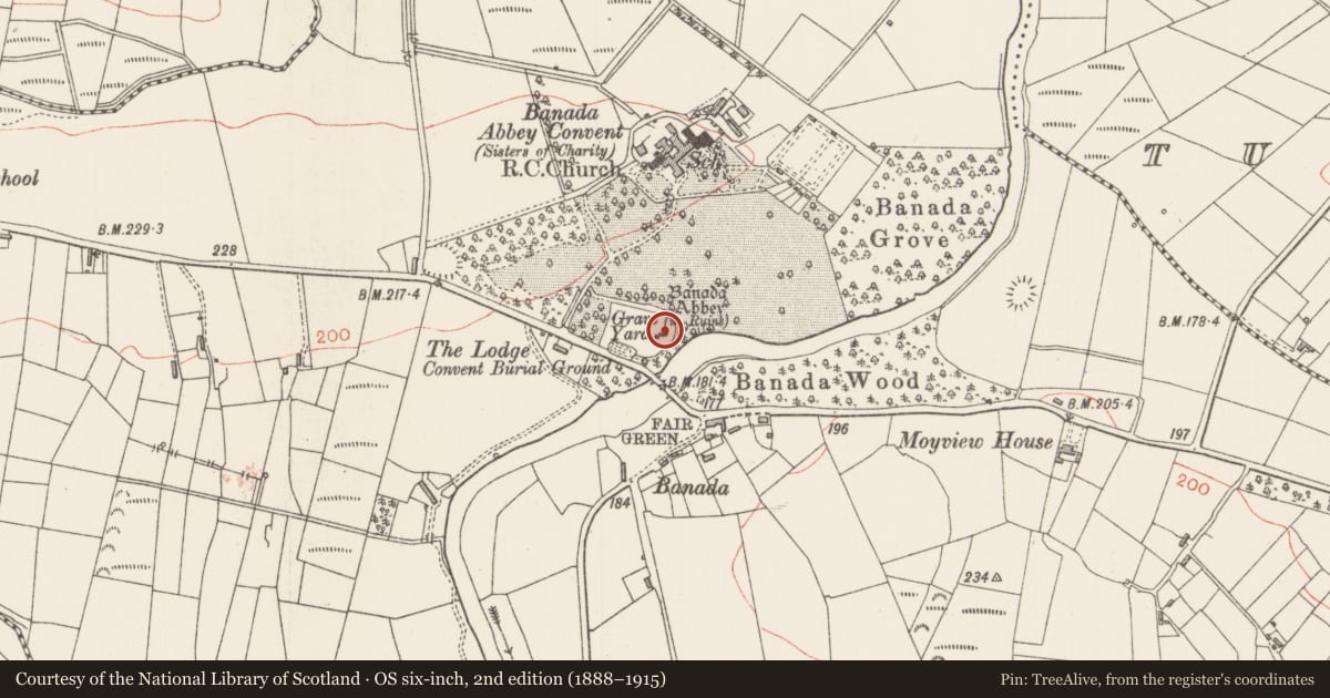 Ordnance Survey six-inch map, 2nd edition (1888–1915) covering the location of Tomb - unclassified, Banada, County Sligo, with a pin at the register's coordinates