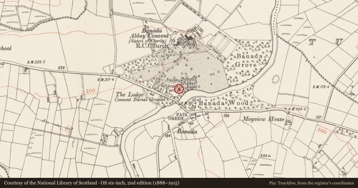 Ordnance Survey six-inch map, 2nd edition (1888–1915) covering the location of Castle - unclassified, Banada, County Sligo, with a pin at the register's coordinates